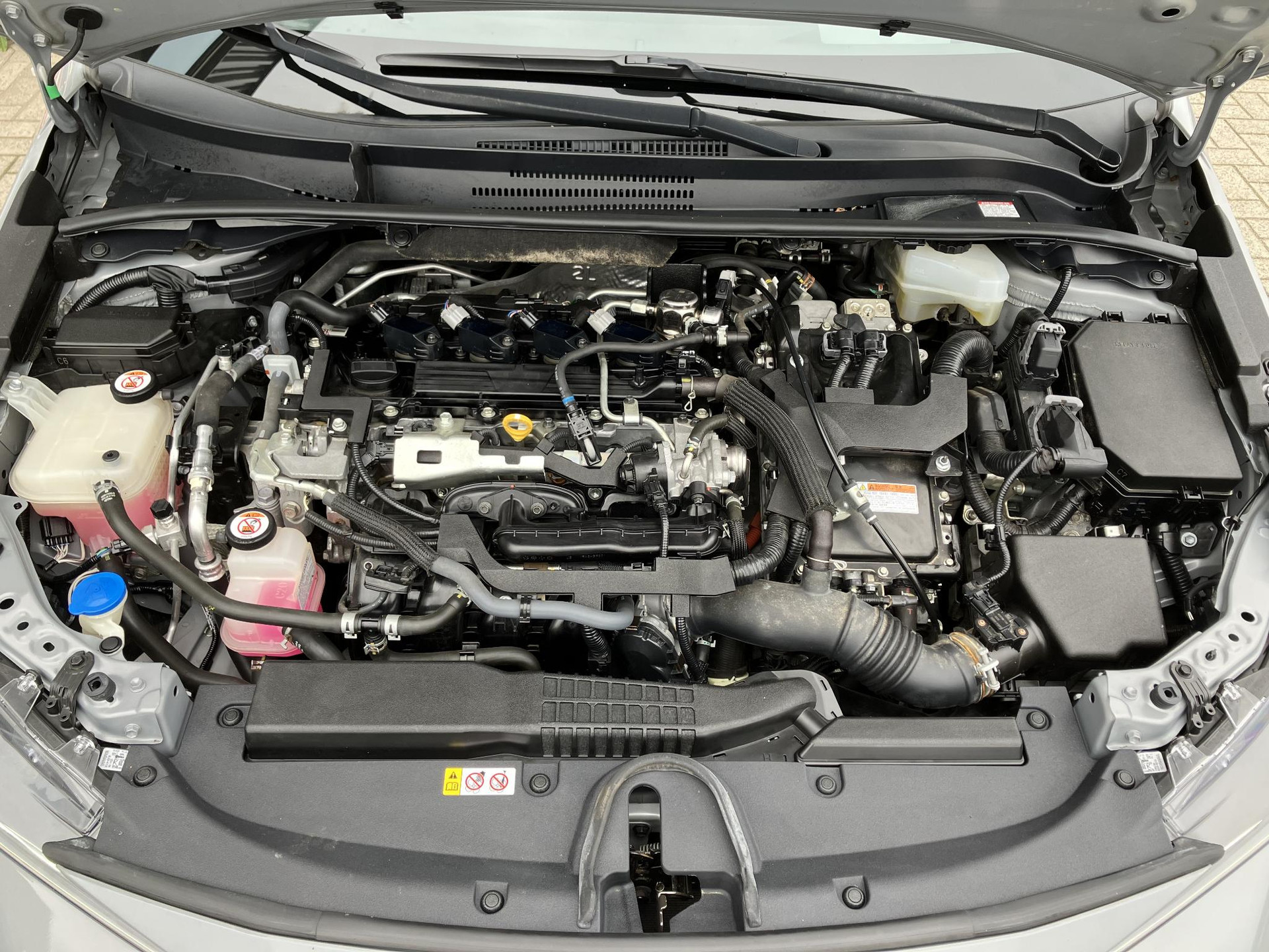 48327880-42.jpg